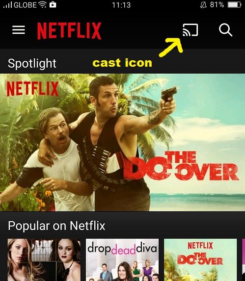 How to Watch Netflix Using Chromecast